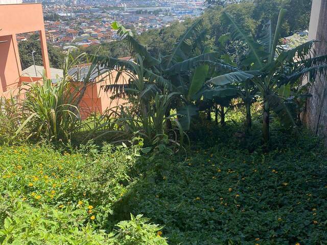 Venda em Centro - São José